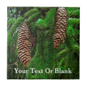 コーンとニードル タイル (正面)