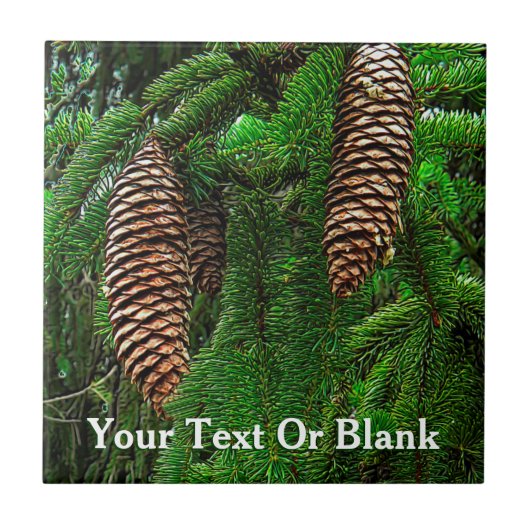 コーンとニードル タイル (正面)