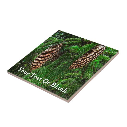 コーンとニードル タイル (側面)