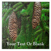 コーンとニードル タイル (正面)