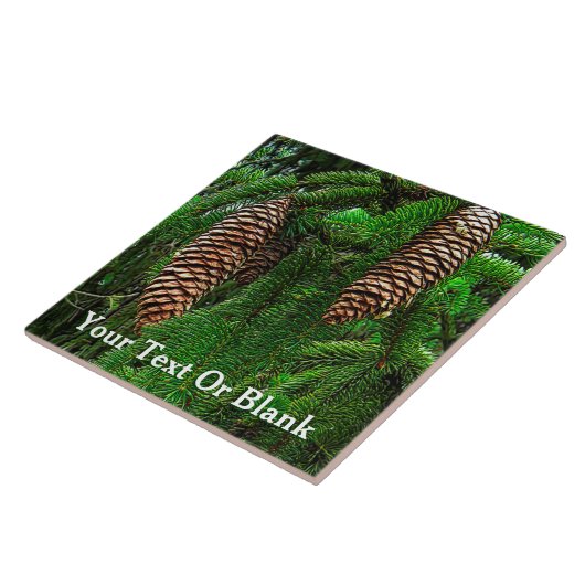 コーンとニードル タイル (側面)