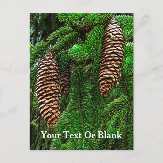 コーンとニードル ポストカード (正面)