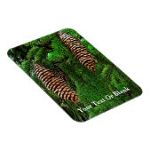 コーンとニードル マグネット (右側)