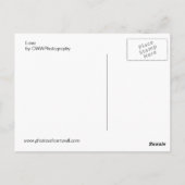 コーンウォールで略奪する ポストカード (裏面)