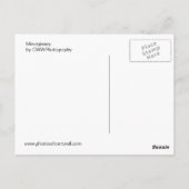 コーンウォールのメヴァギシー ポストカード (裏面)