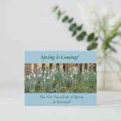 コーンウォールの最初の春の雪 ポストカード (スタンド正面)