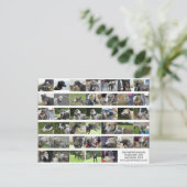 コーンウォールグレイハウンド – 2018年9月 ポストカード (スタンド正面)