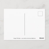 コーンウォールサーフィン ポストカード (裏面)