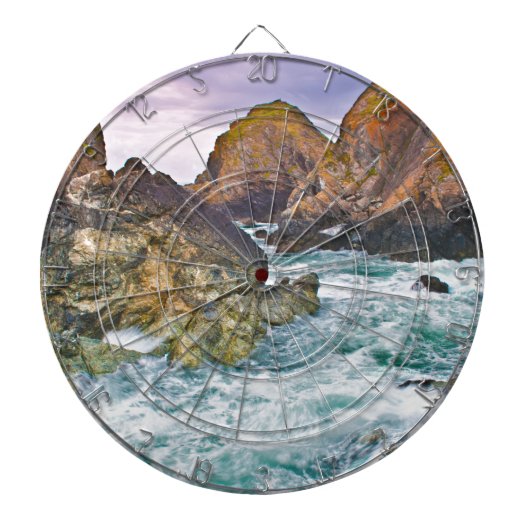 コーンウォールロック ダーツボード (正面)