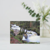 コーンウォール州ゴリタの秋、コーンウォールのコーンワルで ポストカード (スタンド正面)