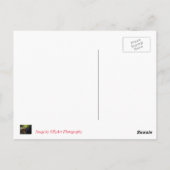 コーンウ素晴らしォールのロード鉱山 ポストカード (裏面)