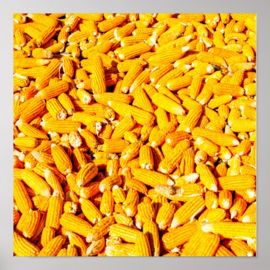 コーンオンザコブ ポスター (正面)