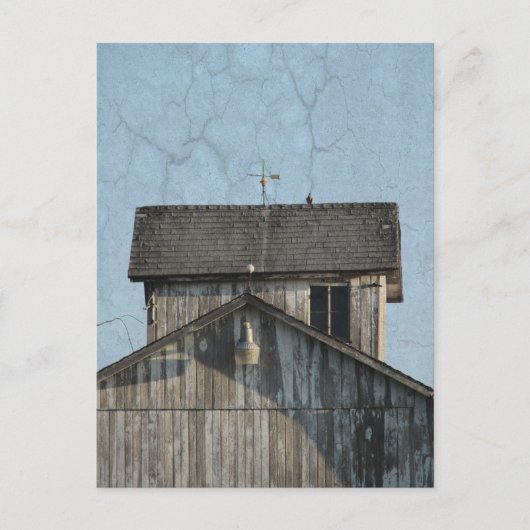 コーンクリブ ポストカード (正面)