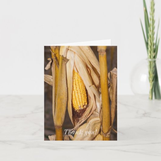 コーンコブオンストークサンキューカード サンキューカード (正面)