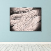 コーンコブ形成の顕微鏡的見解 キャンバスプリント (インサイチュ (ウッドフロア))