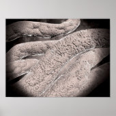 コーンコブ形成の顕微鏡的見解 ポスター (正面)