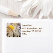 コーンコブ ラベル (インサイチュ)