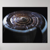 コーンシェル ポスター (正面)