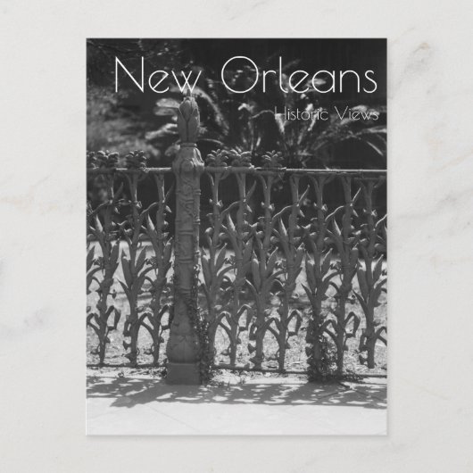 コーンストーク鍛錬鉄柵 ポストカード (正面)