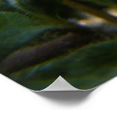 コーンスピードウェル1 ポスター (角)