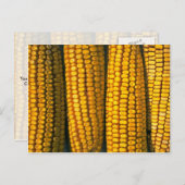 コーンテクスチャ ポストカード (正面/裏面)