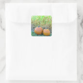 コーンフィールドハロウィーンステッカーにかわいいカボチャ2匹 スクエアシール (バッグ)