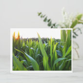 コーンフィールドハーベストフォト招待状テンプレート 招待状 (スタンド正面)