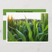 コーンフィールドハーベストフォト招待状テンプレート 招待状 (正面/裏面)