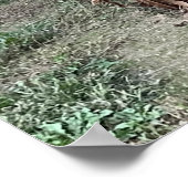 コーンフィールド写真ポスター ポスター (角)