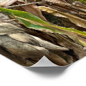 コーンフィールド写真ポスター ポスター (角)