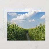 コーンフィールド間の道路 ポストカード (正面/裏面)