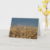 コーンフィールド カード (黄色い花)
