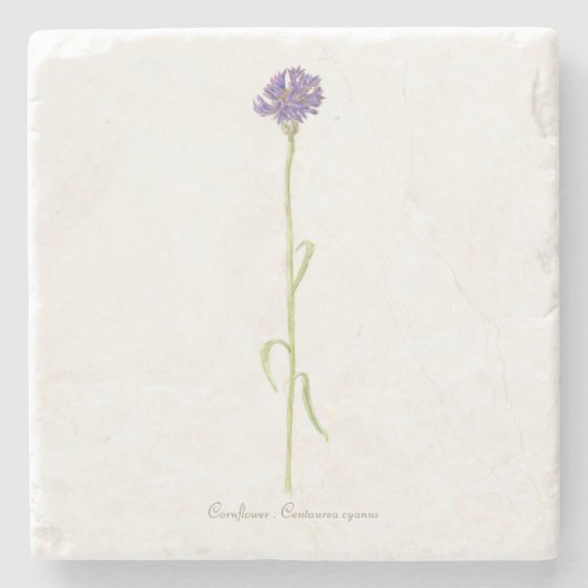 コーンフラワーの水色 ストーンコースター (正面)
