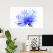 コーンフラワーをクローズアップ ポスター (ホームオフィス)