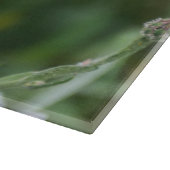 コーンフラワーガラス カッティングボード (角)