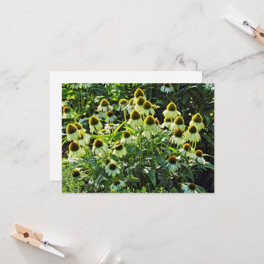 コーンフラワーズビュートパーク,カーディフ,ウェールズ カード (正面/裏面インサイチュ)