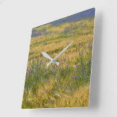 コーンフラワーズフィールド スクエア壁時計 (傾斜)