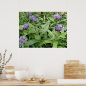 コーンフラワーズプリント ポスター (キッチン)