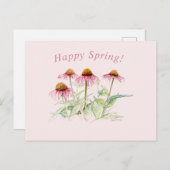 コーンフラワーズ ポストカード (正面/裏面)