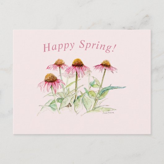 コーンフラワーズ ポストカード (正面)