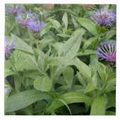 コーンフラワータイル タイル (正面)