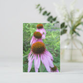 コーンフラワートリオ ポストカード (スタンド正面)