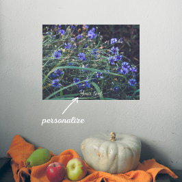 コーンフラワーフィールド ポスター