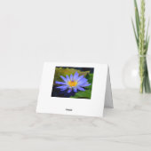 コーンフラワーブルーの大きなスイレン便箋のグリーティングカード カード (裏面)