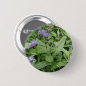コーンフラワーボタン 缶バッジ (正面&裏面)