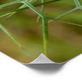 コーンフラワーポスター ポスター (角)