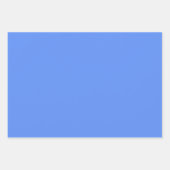 コーンフラワー無料カラーシャビーシックデザイン ラッピングペーパーシート (正面3)