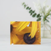 コーンフラワー1 ポストカード (スタンド正面)