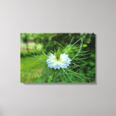 コーンフラワー キャンバスプリント (正面)