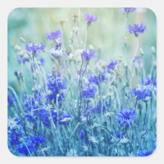 コーンフラワー スクエアシール (正面)